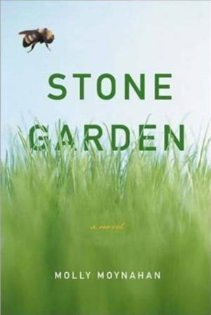 Cover of the book Stone Garden by Robert A. Johnson