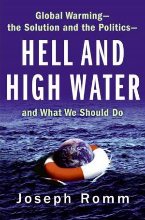 Cover of the book Hell and High Water by Liu Shiying, Martha Avery
