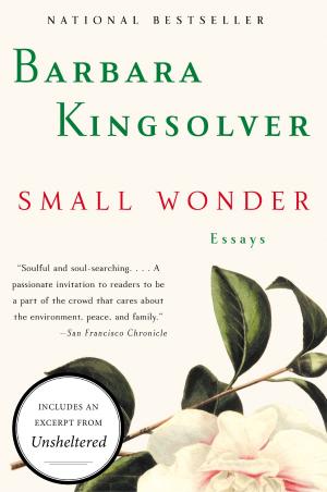 Cover of the book Small Wonder by David Feldman