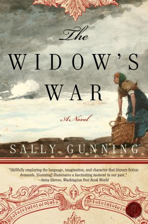 bigCover of the book The Widow's War by 