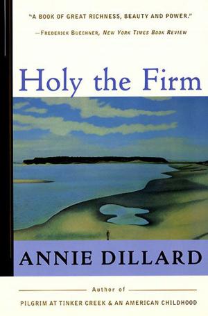 Cover of the book Holy the Firm by Shirley Rousseau Murphy