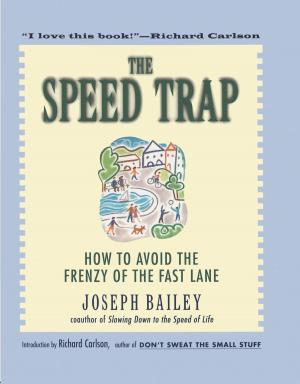 Cover of the book The Speed Trap by Michael Santonato