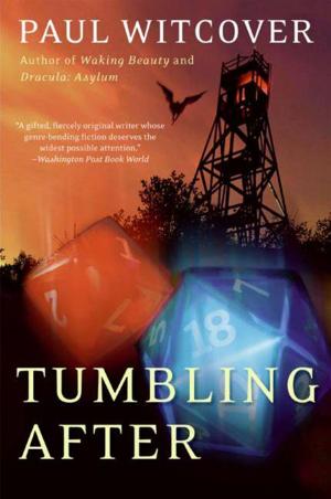 Cover of the book Tumbling After by Mark Kreidler
