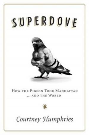 Cover of the book Superdove by Bette Ford