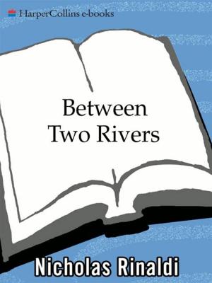 Cover of the book Between Two Rivers by Norman T. Berlinger M.D.