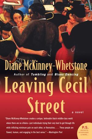 Cover of the book Leaving Cecil Street by Lydia Peelle