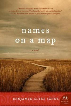 Cover of the book Names on a Map by Michael L. Dertouzos