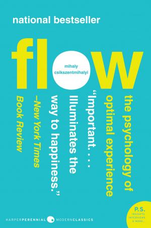 Cover of the book Flow by Jamie Miller, Laura Lewis, Jennifer B Sander