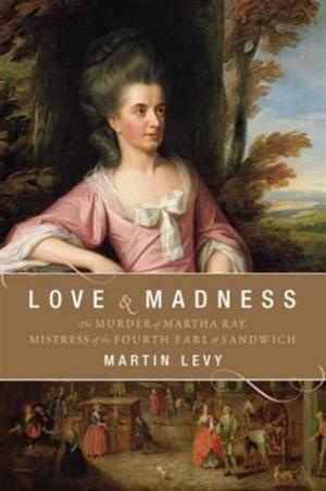 Cover of the book Love and Madness by Robin Burcell