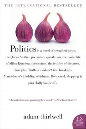 Cover of the book Politics by Paul Howarth