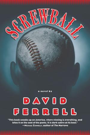 Cover of the book Screwball by TJ SPENCER JACQUES