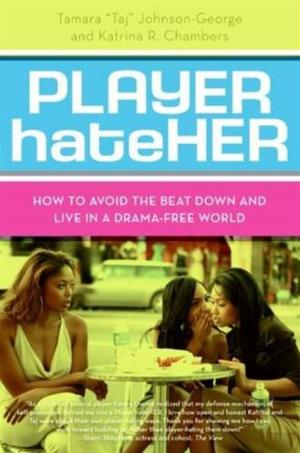 Cover of the book Player HateHer by Stephanie Lessing