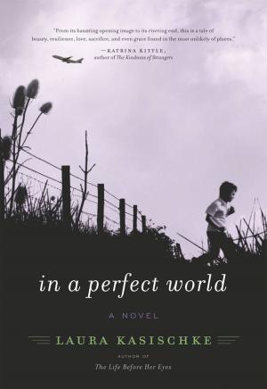 Cover of the book In a Perfect World by Cathy Maxwell