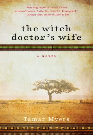 Cover of the book The Witch Doctor's Wife by Simon Van Booy