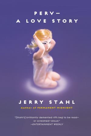 Cover of the book Perv--a Love Story by Patricia Jones
