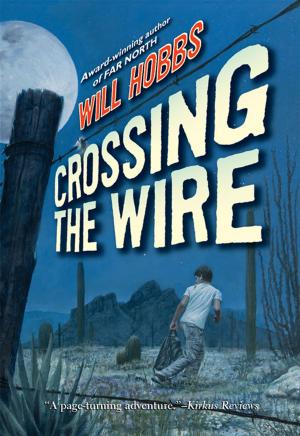 bigCover of the book Crossing the Wire by 