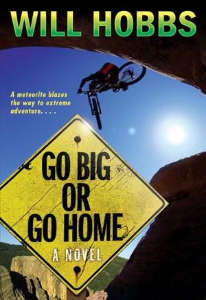 Cover of Go Big or Go Home