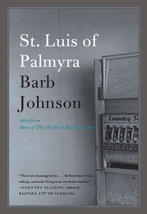 Cover of the book St. Luis of Palmyra by Lily Tuck