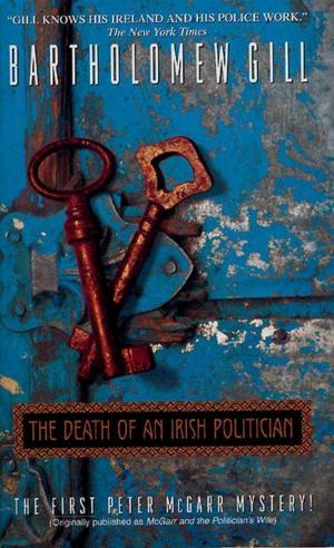 Cover of the book The Death of an Irish Politician by Sabrina Darby