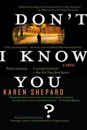 Cover of the book Don't I Know You? by R.L. Stine