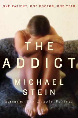 Cover of the book The Addict by Christina Dodd