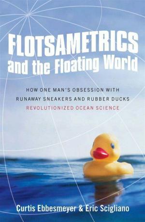 Cover of the book Flotsametrics and the Floating World by Edward Alden