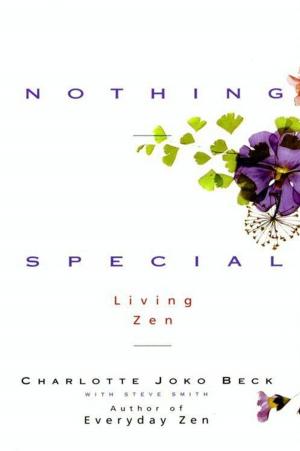 Cover of the book Nothing Special by Thomas Merton