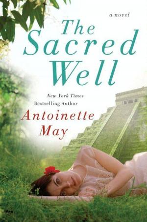Cover of the book The Sacred Well by Annie Wang