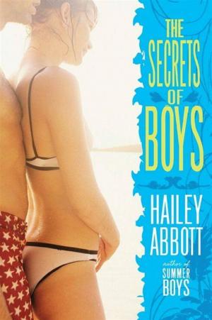 Cover of the book The Secrets of Boys by Amelia Kahaney