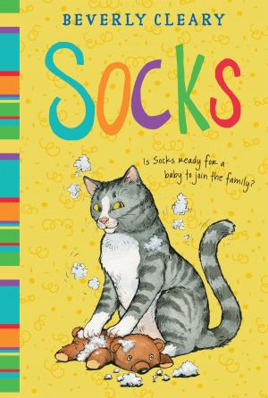 Cover of the book Socks by Jane O'Connor