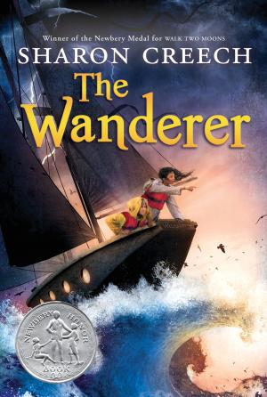 Cover of the book The Wanderer by Ray Filby