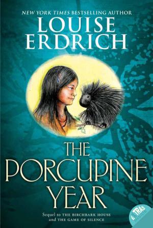 Cover of the book The Porcupine Year by R. S. Ashby