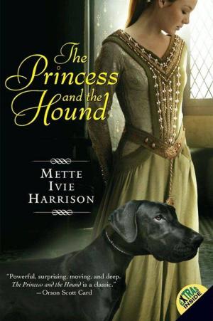 Cover of the book The Princess and the Hound by Laura E Weymouth