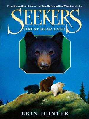 Cover of the book Seekers #2: Great Bear Lake by Adena Halpern