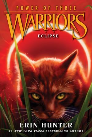 Cover of Warriors: Power of Three #4: Eclipse