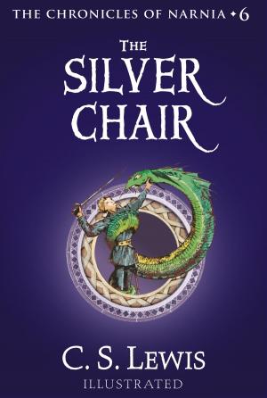 Book cover of The Silver Chair