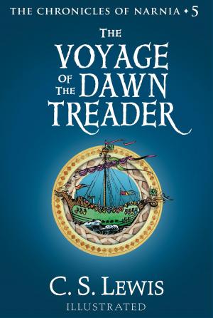 Cover of the book The Voyage of the Dawn Treader by GoMadKids, Pam Pottinger