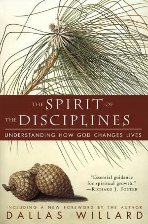 Cover of the book The Spirit of the Disciplines by Richard Elliott Friedman