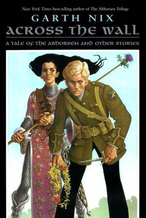 Book cover of Across the Wall