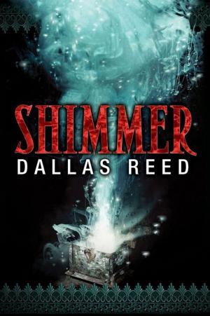 Cover of the book Shimmer by Lucian Barnes