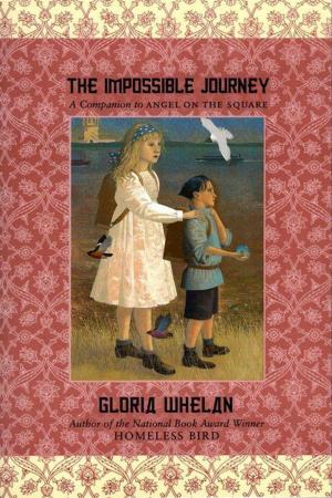 bigCover of the book The Impossible Journey by 