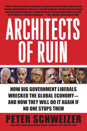 Book cover of Architects of Ruin