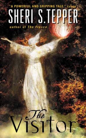 Cover of the book The Visitor by Beverly Jenkins