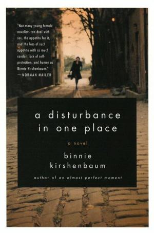 Cover of the book A Disturbance in One Place by Lakshmi Menon