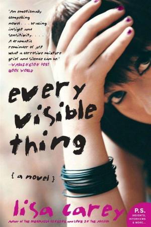 bigCover of the book Every Visible Thing by 