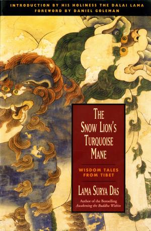 Cover of the book The Snow Lion's Turquoise Mane by Rob Bell