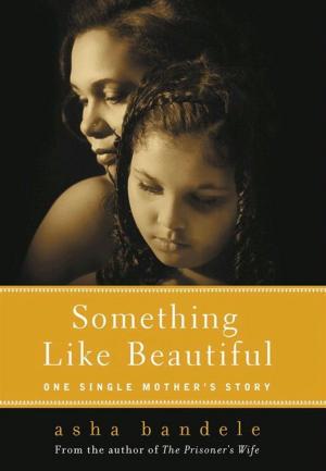 Cover of the book Something Like Beautiful by Jonathan Scher, Carol Dix