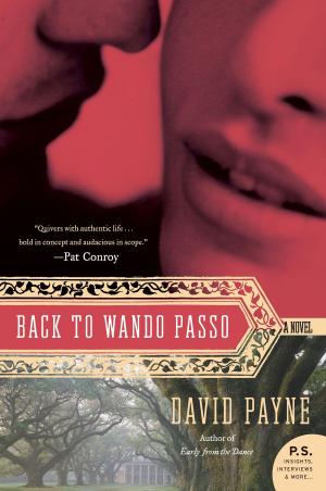 Cover of the book Back to Wando Passo by Dr. Richard A Warshak