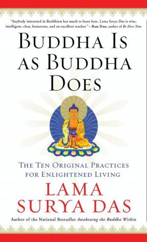Cover of the book Buddha Is as Buddha Does by Dalai Lama, Sofia Stril-Rever