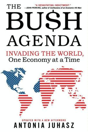 Cover of the book The Bush Agenda by Noreena Hertz